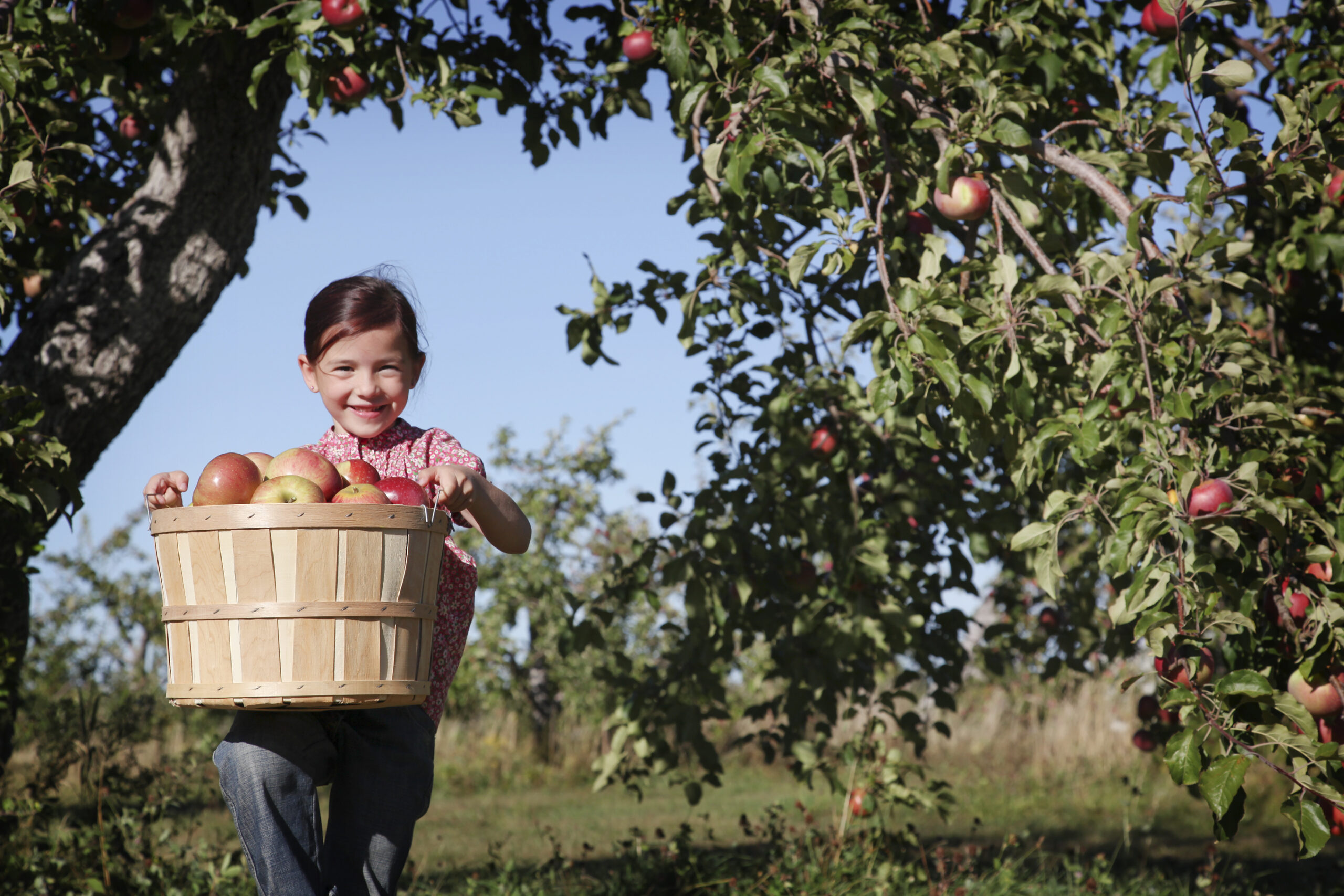 You are currently viewing The Benefits of Agricultural Tourism